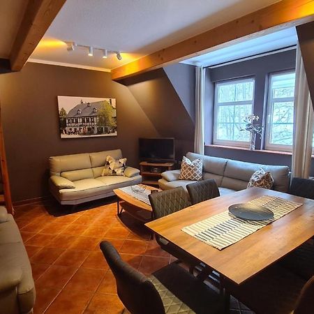 Appartements Im "Landhaus Am Frohnauer Hammer" Annaberg-Buchholz Extérieur photo