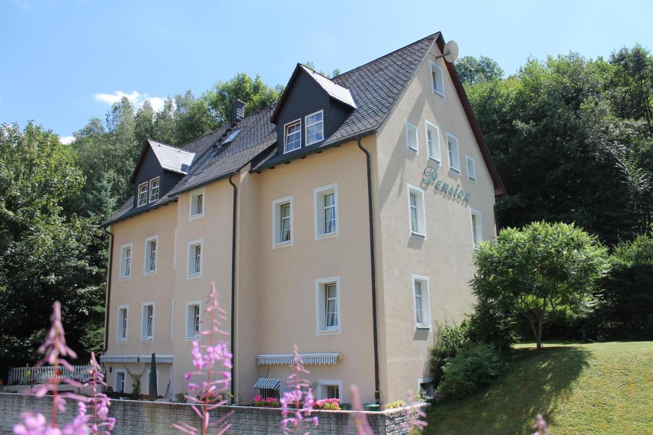 Appartements Im "Landhaus Am Frohnauer Hammer" Annaberg-Buchholz Extérieur photo