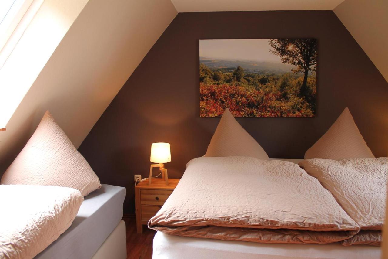 Appartements Im "Landhaus Am Frohnauer Hammer" Annaberg-Buchholz Extérieur photo