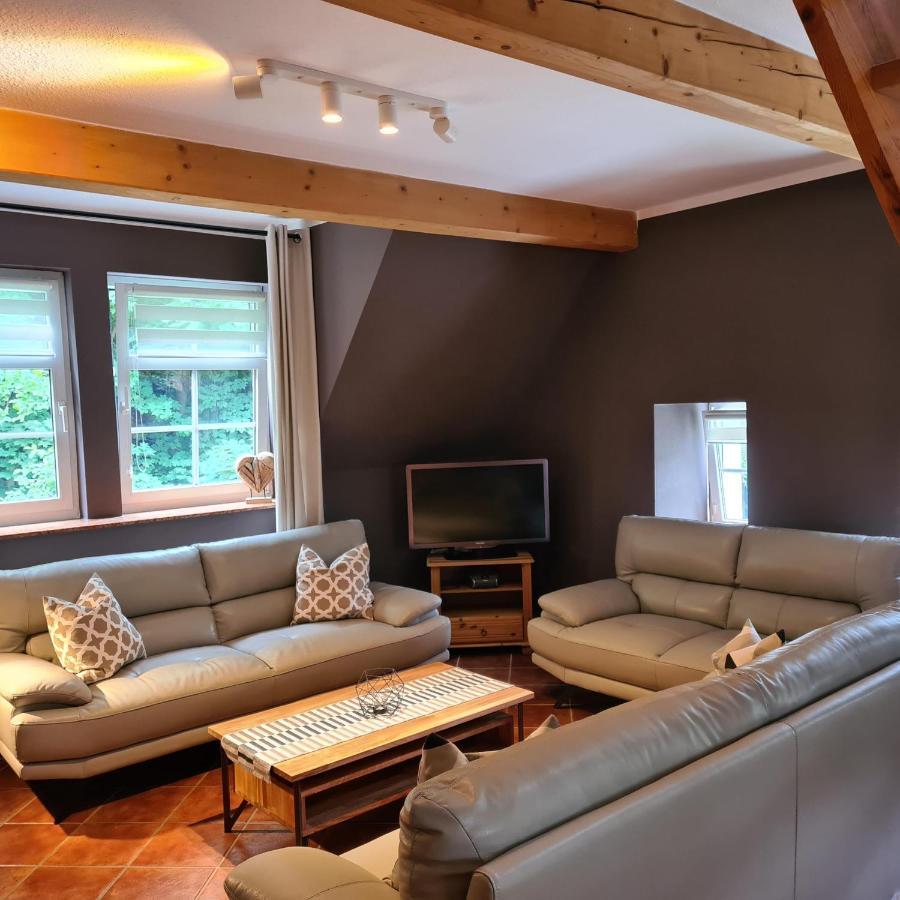 Appartements Im "Landhaus Am Frohnauer Hammer" Annaberg-Buchholz Extérieur photo